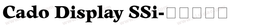 Cado Display SSi字体转换